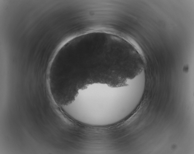 X0000101701043200808071154