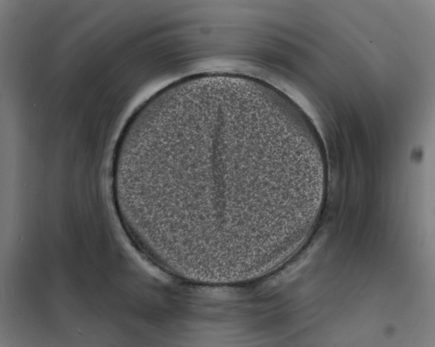 X0000101701045200808071154