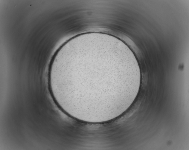 X0000101701046200808071154