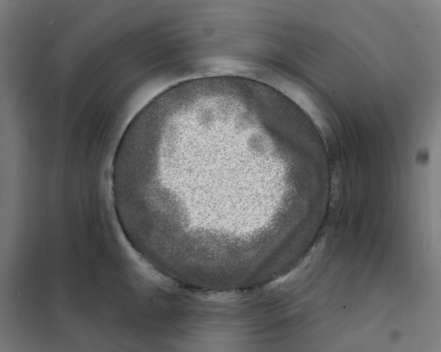 X0000101701047200808071154