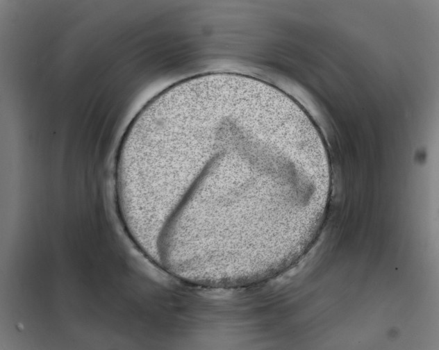 X0000101701048200808071154