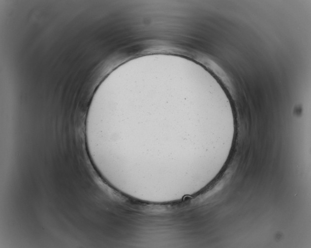 X0000101701049200808071154