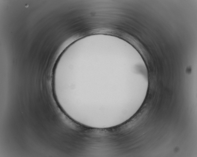 X0000101701050200808071154