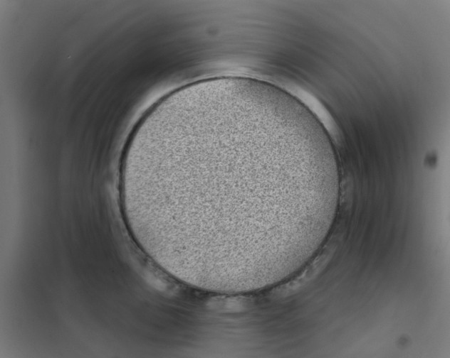 X0000101701051200808071154