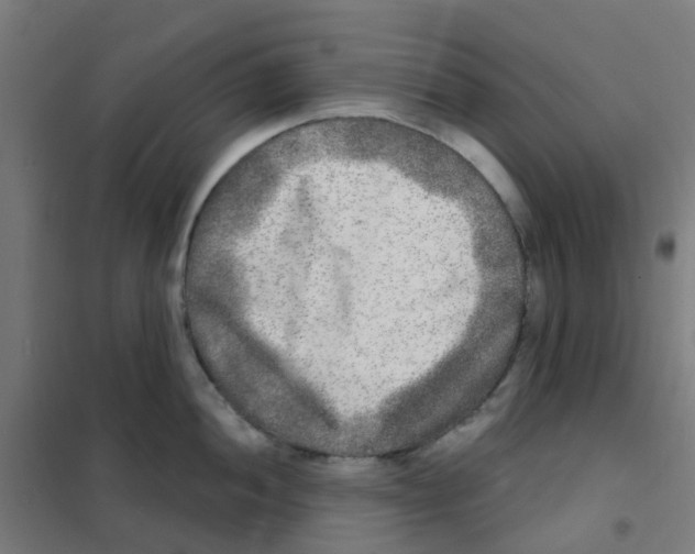 X0000101701052200808071154