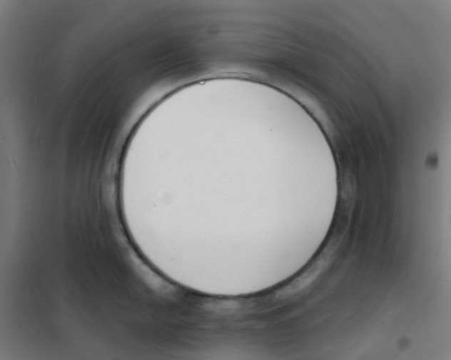 X0000101701054200808071154