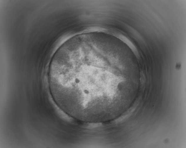 X0000101701055200808071154