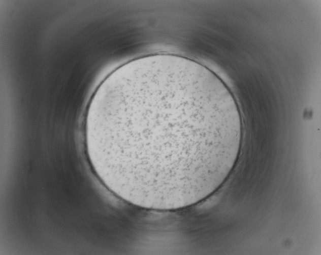 X0000101701056200808071154