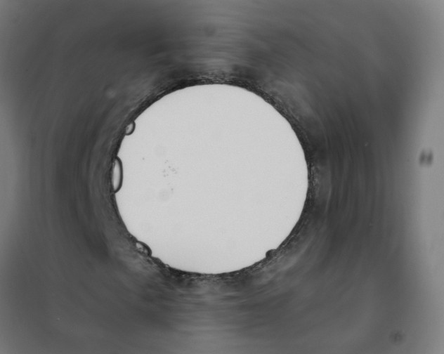 X0000101701057200808071153