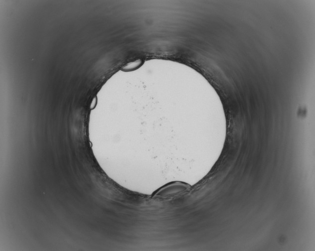 X0000101701058200808071153