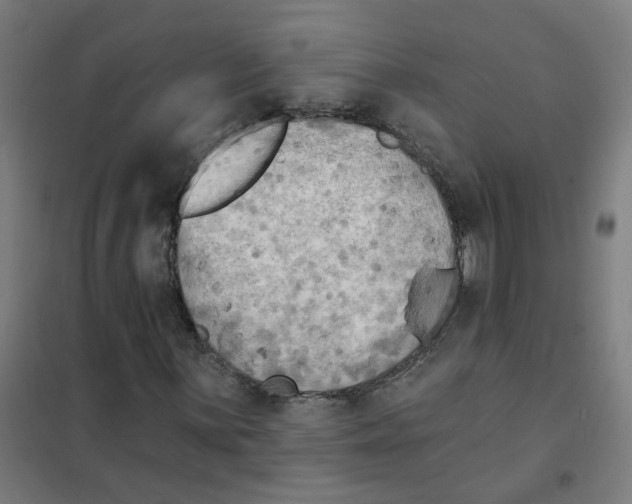 X0000101701059200808071153