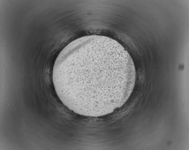 X0000101701060200808071153