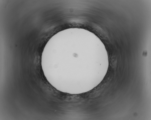 X0000101701061200808071153