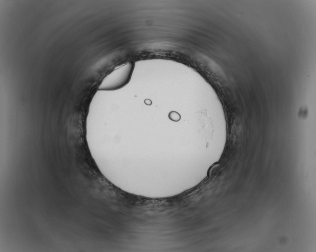 X0000101701062200808071153