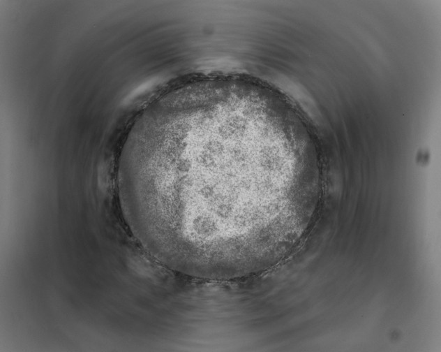 X0000101701063200808071153