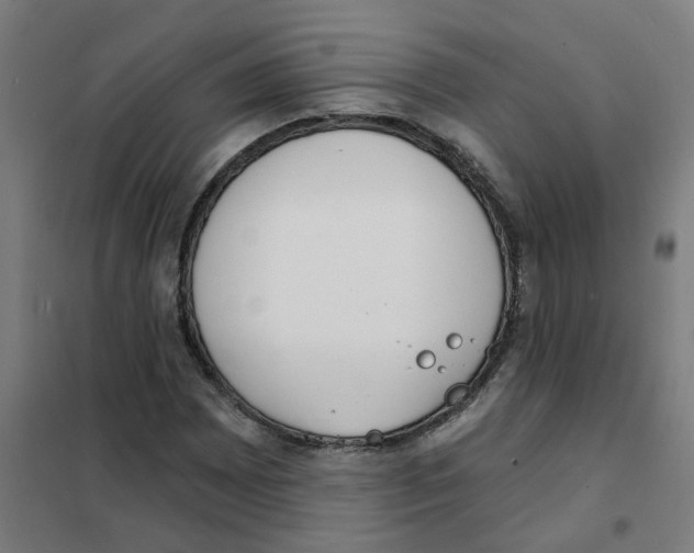 X0000101701065200808071153