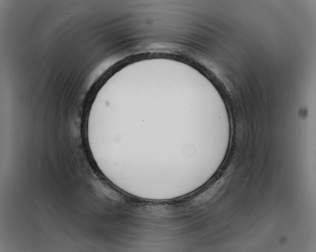 X0000101701066200808071153
