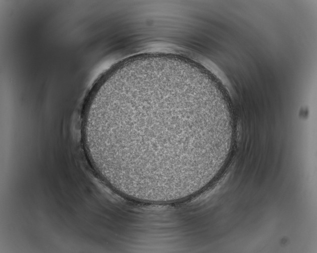 X0000101701067200808071153