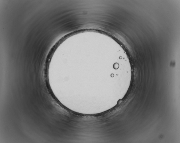 X0000101701068200808071153