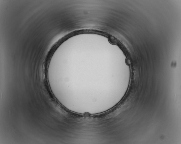 X0000101701069200808071153