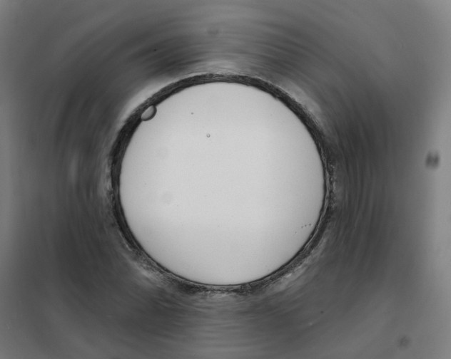 X0000101701070200808071153