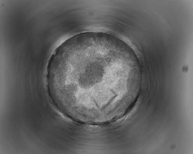 X0000101701071200808071153