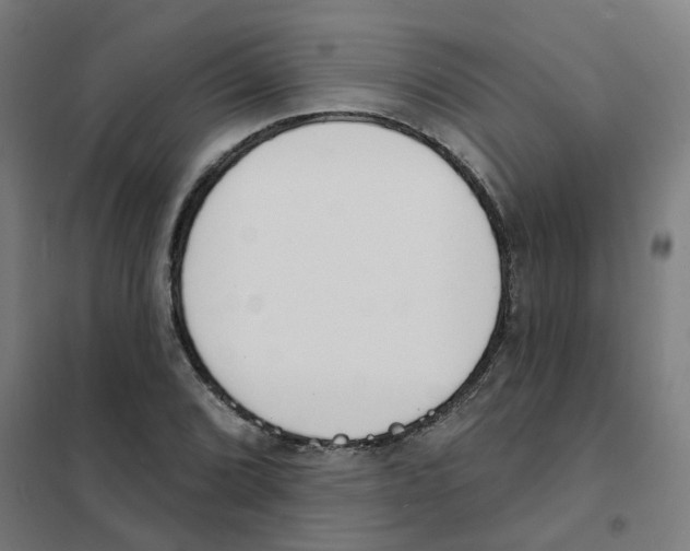 X0000101701072200808071153
