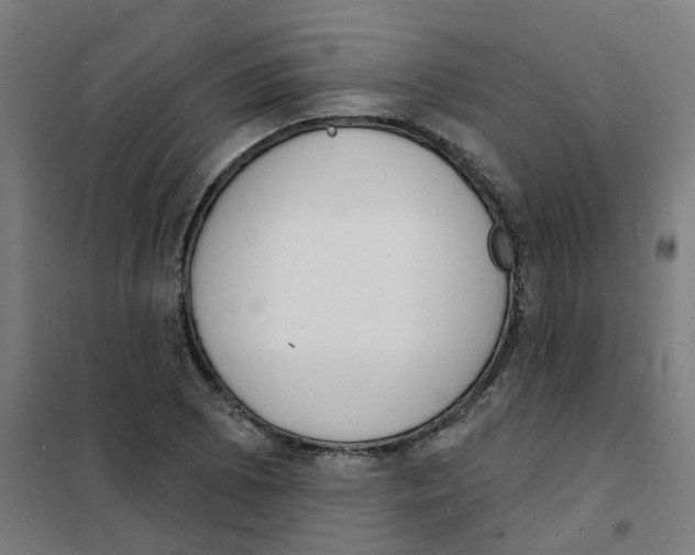 X0000101701073200808071153
