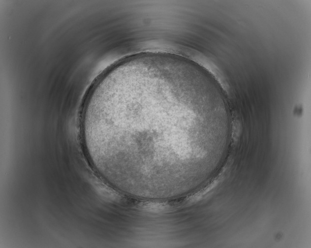 X0000101701074200808071153