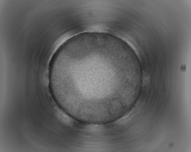 X0000101701075200808071153
