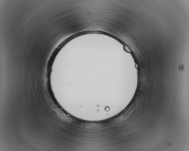 X0000101701076200808071153