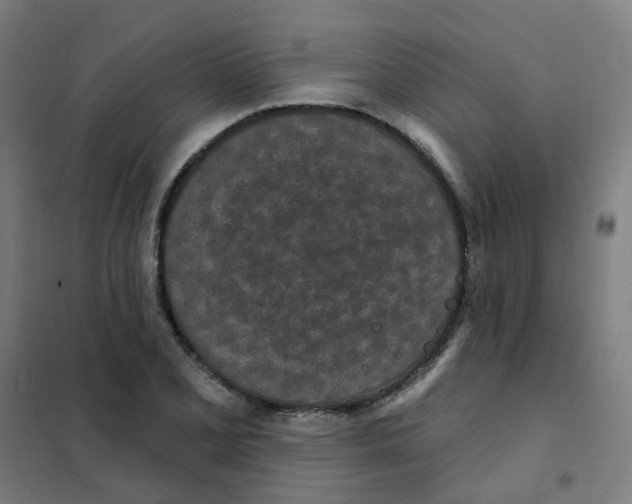 X0000101701077200808071153