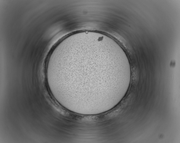 X0000101701078200808071153
