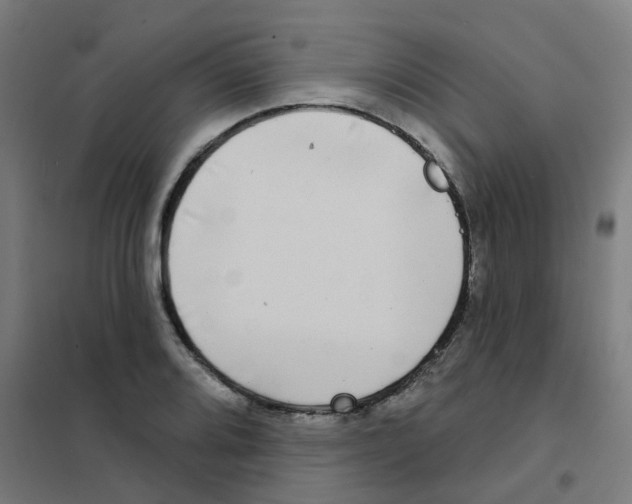 X0000101701080200808071153