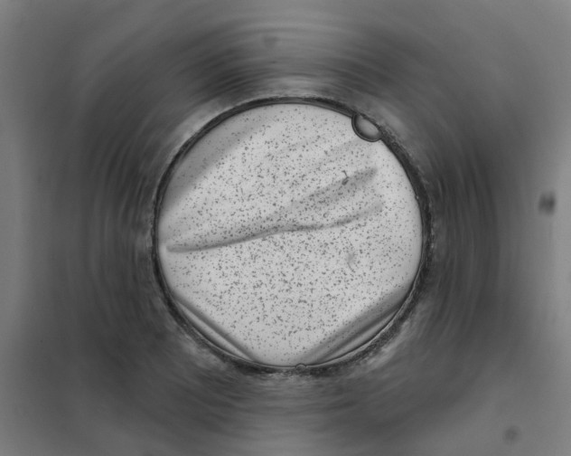 X0000101701081200808071153