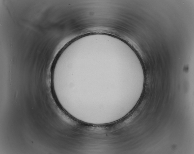 X0000101701082200808071153