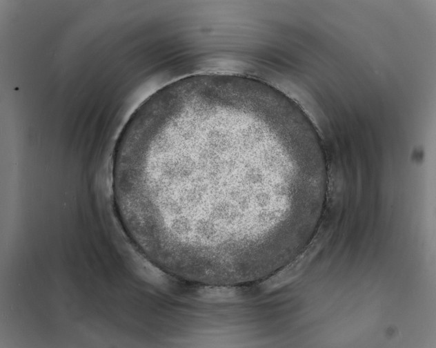 X0000101701083200808071153