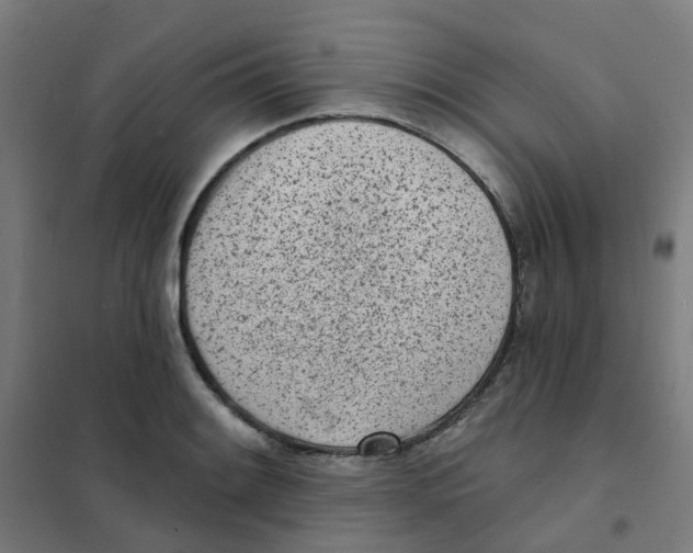 X0000101701084200808071153