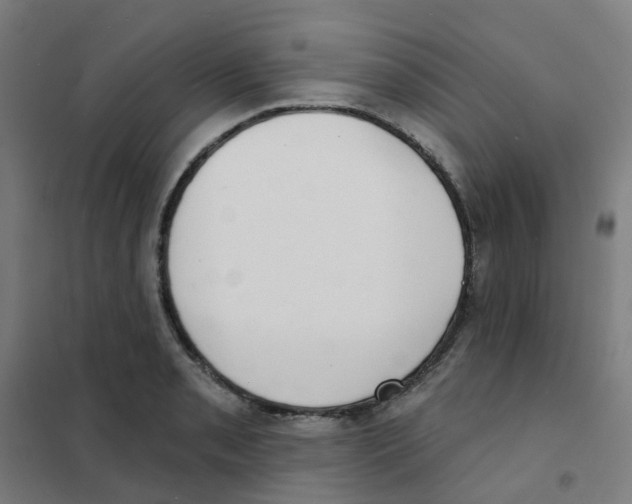 X0000101701085200808071153