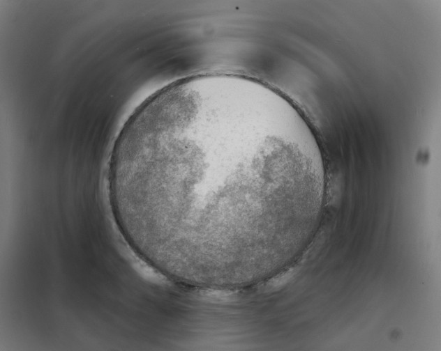 X0000101701086200808071153