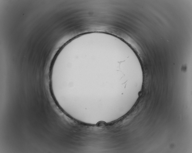 X0000101701088200808071153