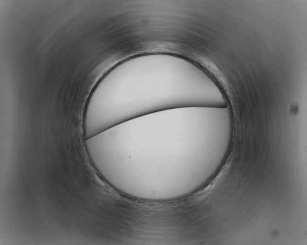 X0000101701089200808071153
