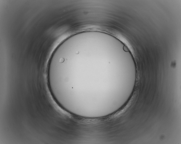 X0000101701090200808071153
