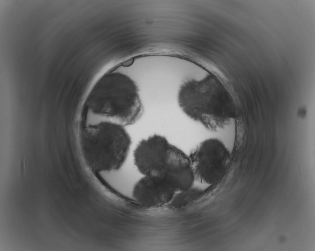 X0000101701091200808071153