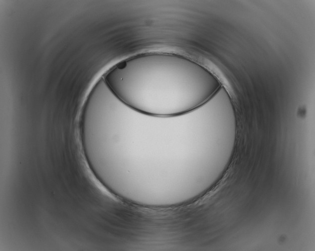 X0000101701092200808071153