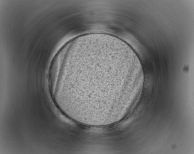 X0000101701094200808071153