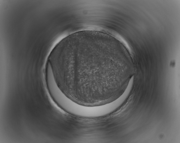X0000101701095200808071153