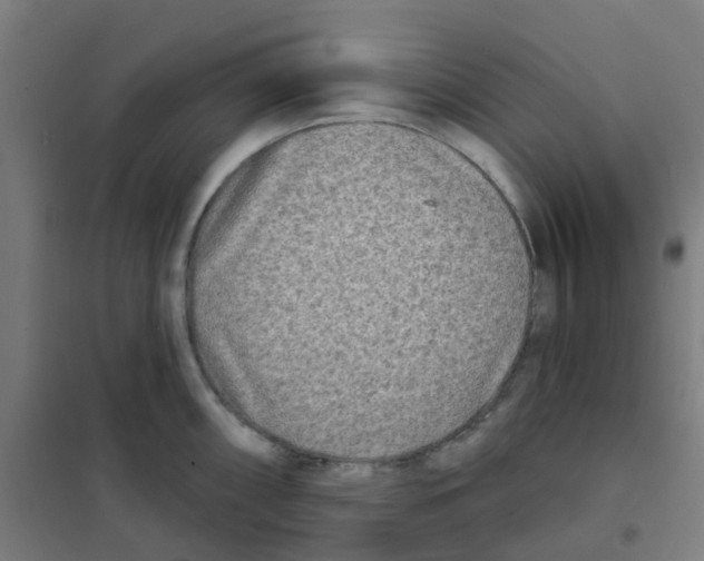 X0000101701098200808071153