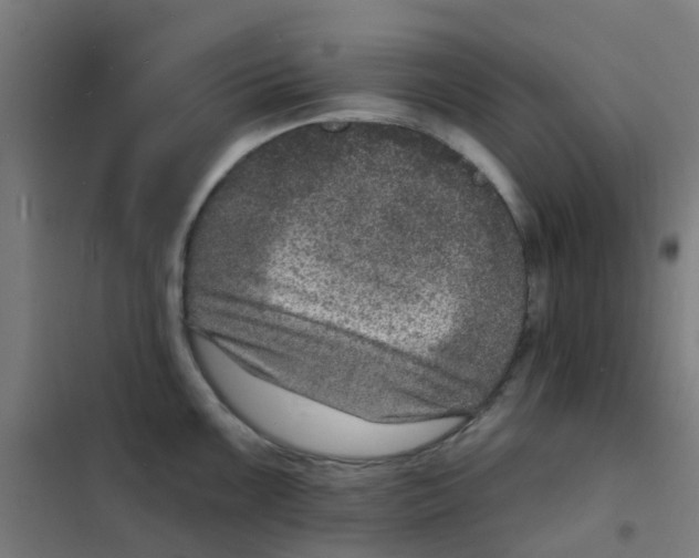 X0000101701099200808071153