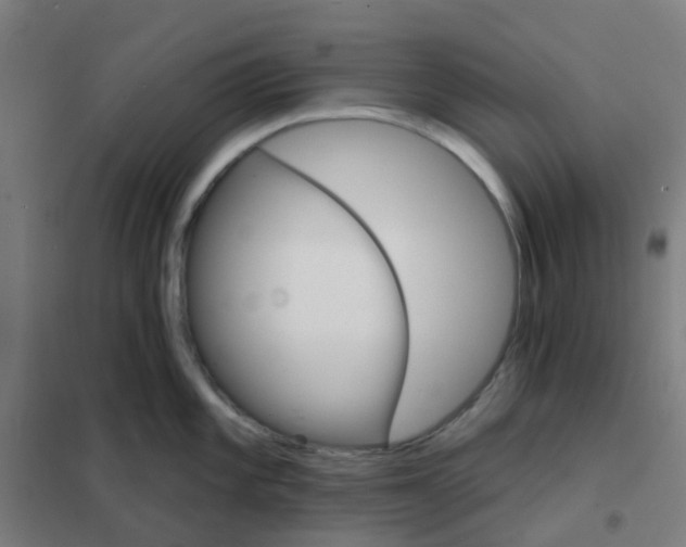 X0000101701101200808071153
